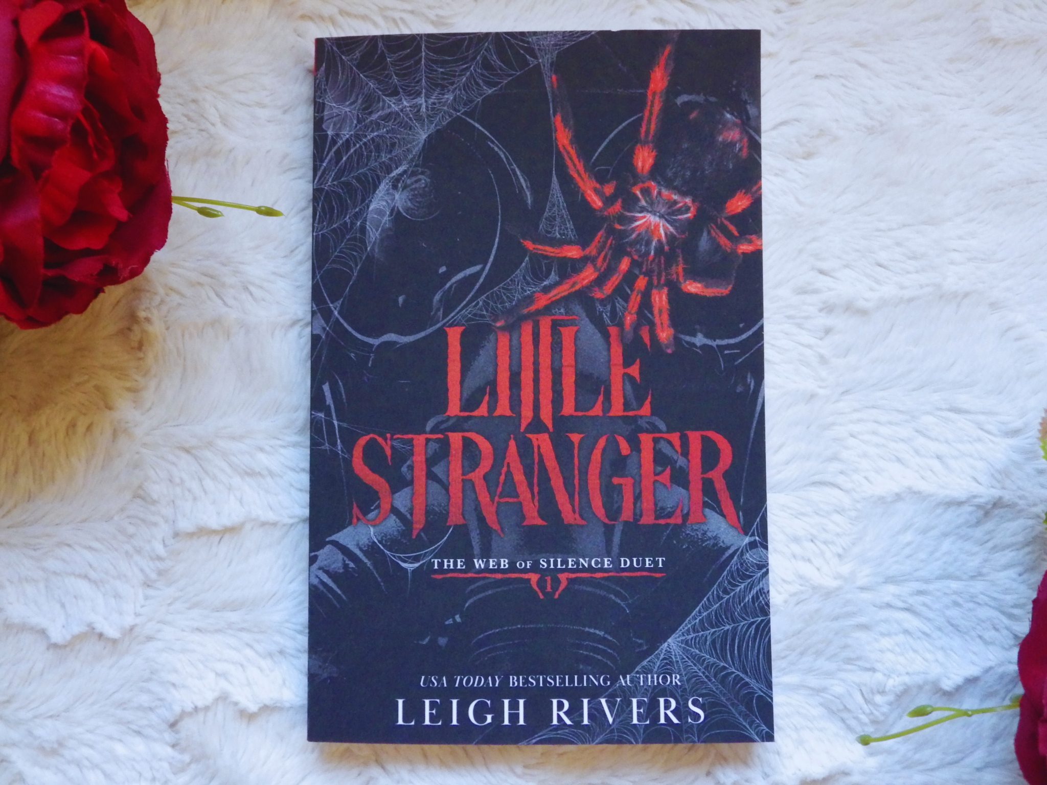 Little Stranger, Leigh RIvers (softback)