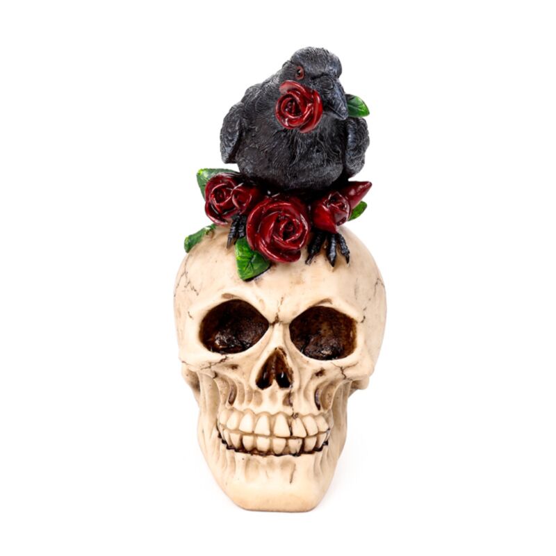 Crow On A Skull And Books