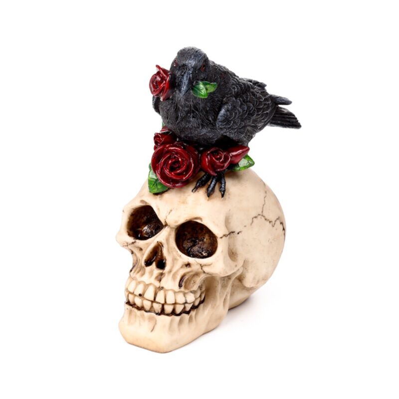Crow On A Skull And Books