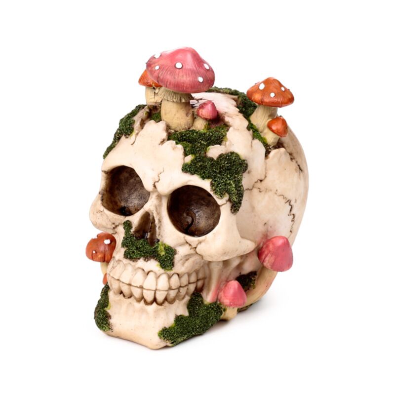 Skull With Mushrooms And Moss