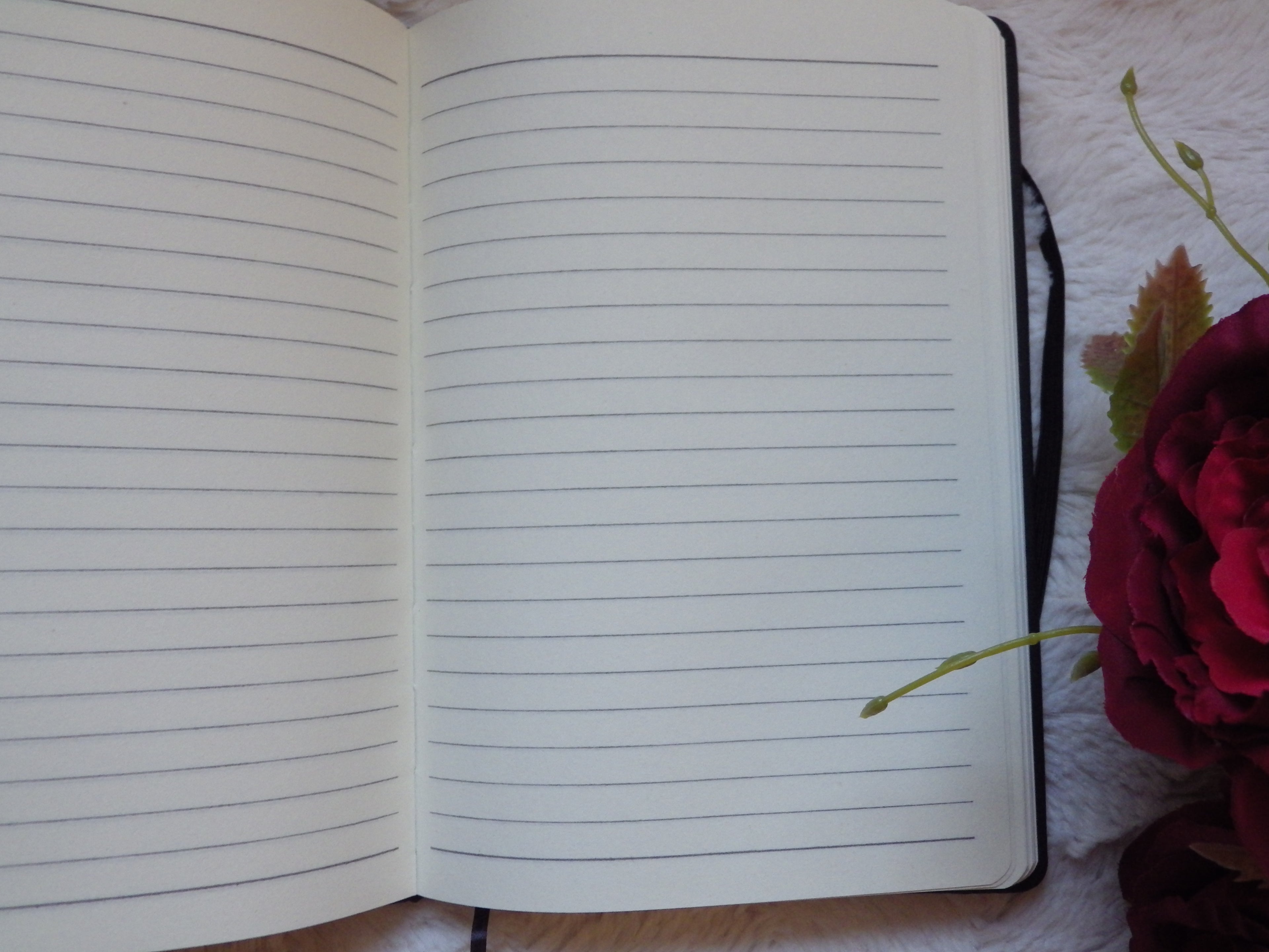 The Shadowkeeper Notebook