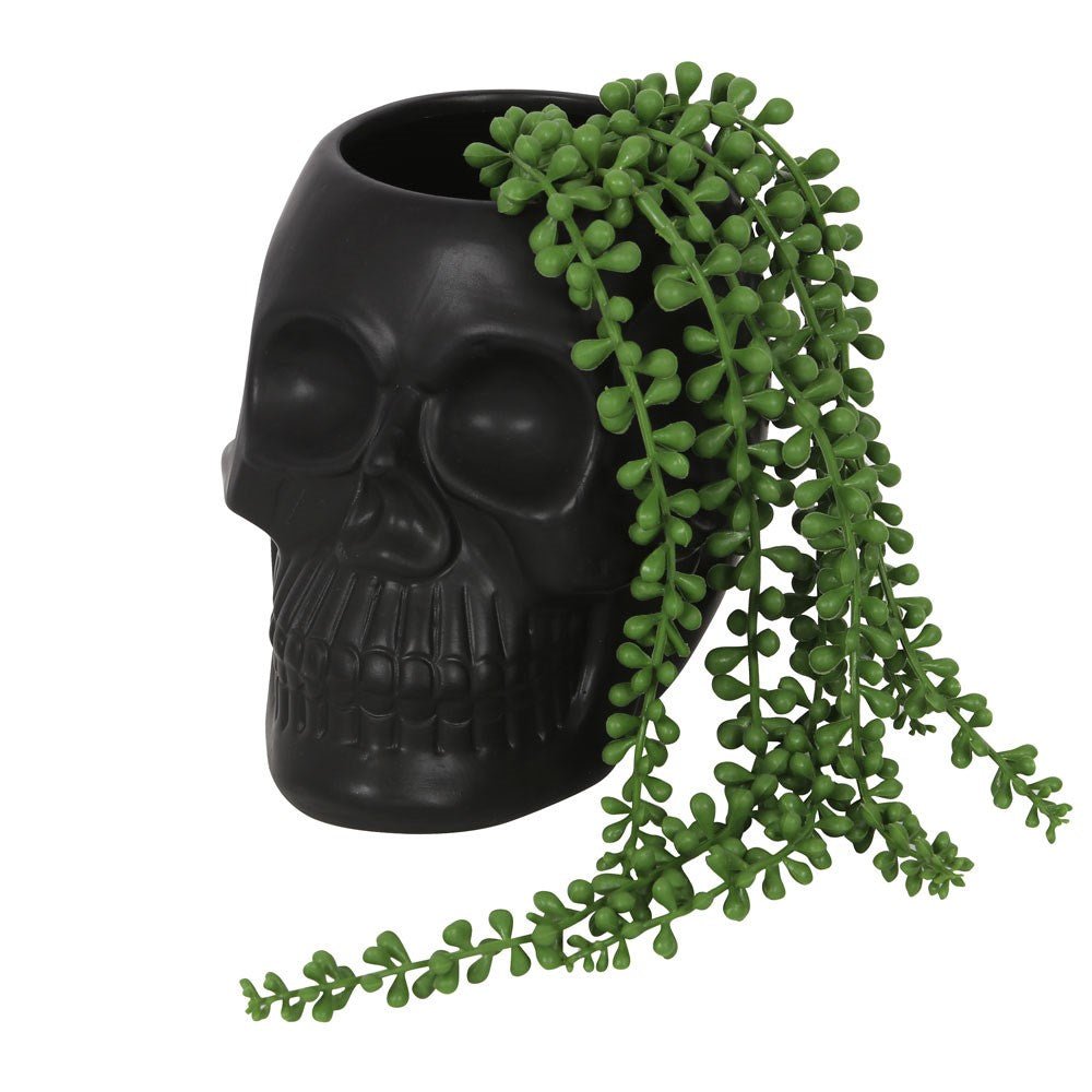 Black Skull Plant Pot - Pot - The Dark Rose Emporium