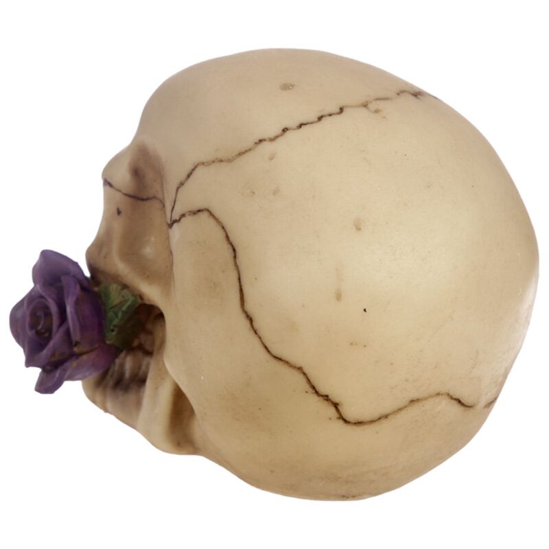 Skull & Bones With Single Purple Rose