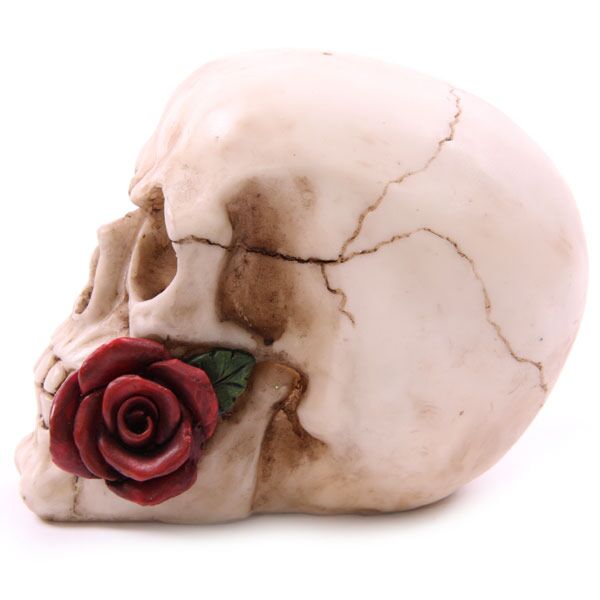 Skull With Single Rose