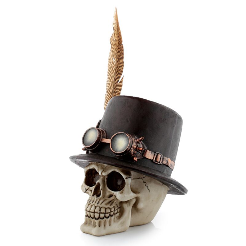 Steampunk Skull With Tophat And Feather