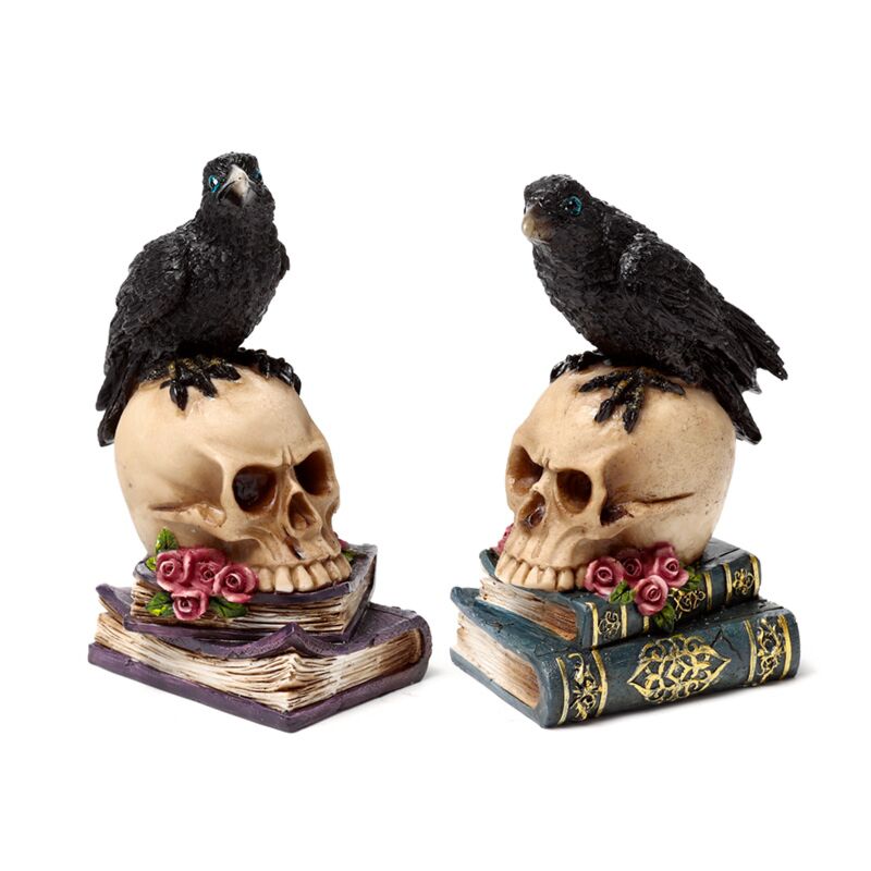 Crow On A Skull And Books (blue)