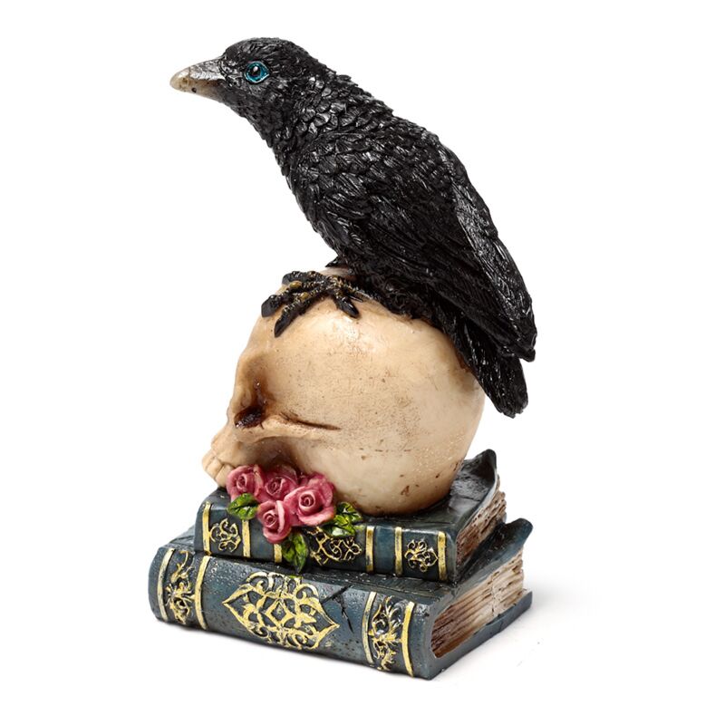 Crow On A Skull And Books (blue)