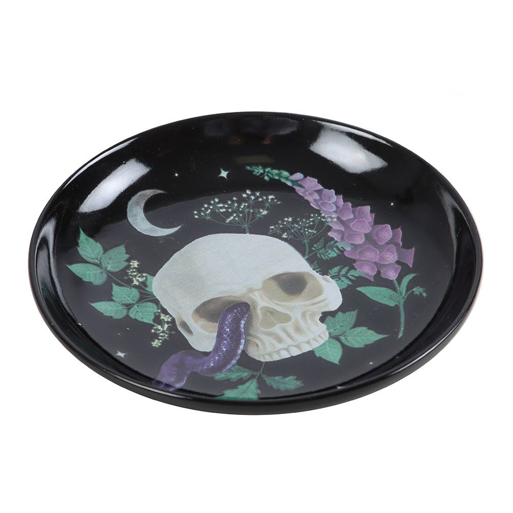Venom & Vines Skull With Snake Ceramic Trinket Dish