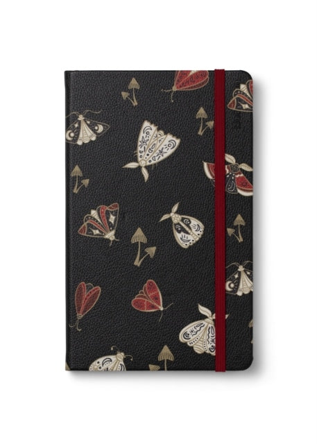 Bookaroo Moth Bundle